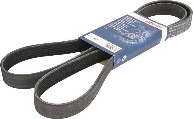 BOSCH 1 987 947 557 - Pasek wielorowkowy