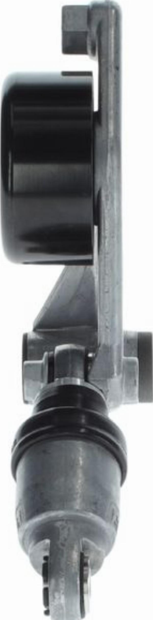 BOSCH 1 987 600 387 - Napinacz paska wielorowkowego