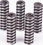 BOSCH 2 434 614 055 - SPRĘŻYNA DOCISKOWA