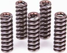 BOSCH 2 434 614 022 - SPRĘŻYNA WTRYSKIWACZA