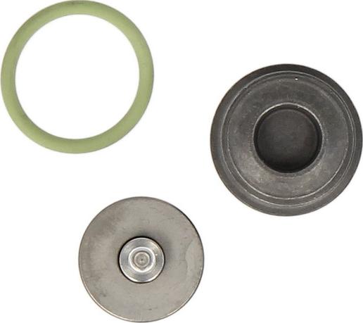 BOSCH F 00N 201 244 - Elementy pompy CR