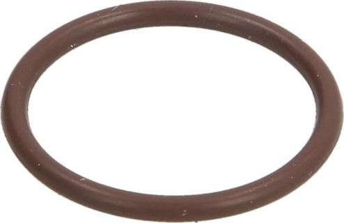BOSCH F 00V P01 005 - PIERŚCIEŃ WTRYSKIWACZA