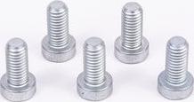 BOSCH F 01M 100 684 - ŚRUBA POMPY WTR.