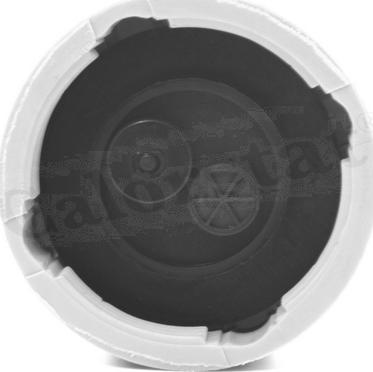 Calorstat by Vernet ET0131C1 - ZBIORNIK WYRÓWNAWCZY FORD 1068086 - 1091364 - 98AB8K218BG - 98AB8K218BH