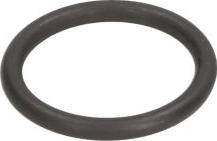 C.E.I. 239119 - Oring skrzyni biegów