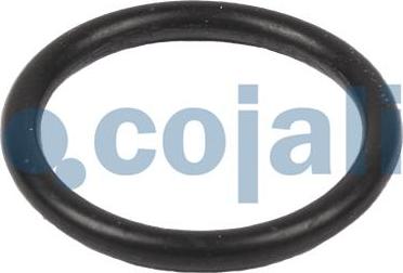 Cojali 6012170 - Zestaw naprawczy zaworu powietrza