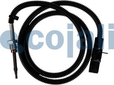 Cojali 2260781 — Czujnik, temperatura spalin