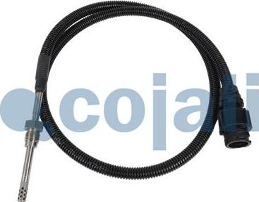 Cojali 2260782 — Czujnik, temperatura spalin