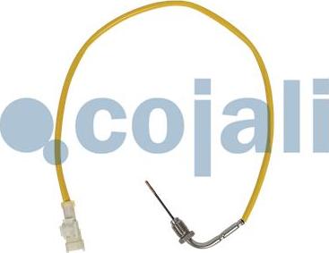 Cojali 2262019 - Czujnik temperatury spalin