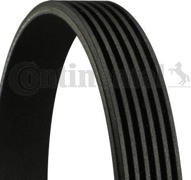 CONTINENTAL 6PK1139 EXTRA — Pasek klinowy wielorowkowy