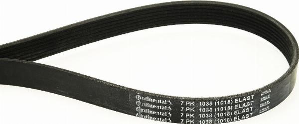 CONTINENTAL 7PK1038 ELAST — Pasek klinowy wielorowkowy
