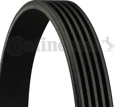 CONTINENTAL 5PK1815 RNH - Pasek klinowy wielorowkowy