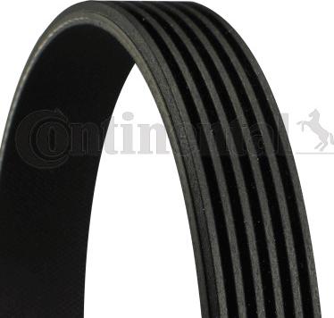 CONTINENTAL 6DPK2215 - PASEK WIELOROWKOWY 6DPK2215