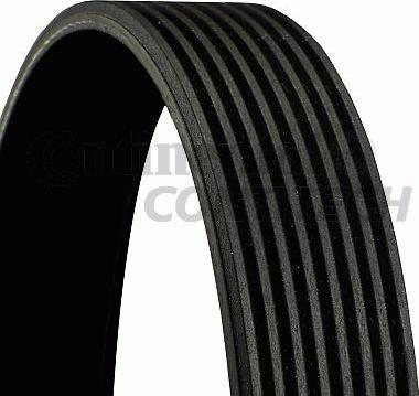 CONTINENTAL 8PK955 - PASEK WIELOROWKOWY 8PK955