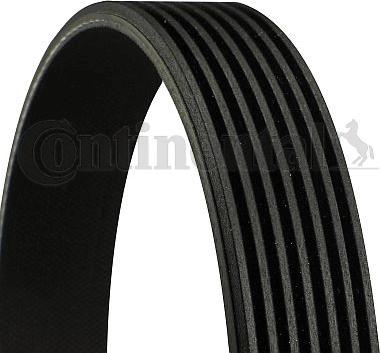 CONTINENTAL 7PK1095 RNH - Pasek klinowy wielorowkowy