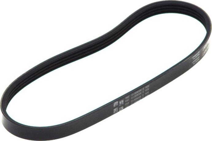 CONTINENTAL 4 PK 592 ELAST — Pasek klinowy wielorowkowy