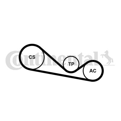 CONTINENTAL 4PK1237K1 - ZESTAW PASKA WIELOROWK. VW 2.5TDI AUDI-SKODA