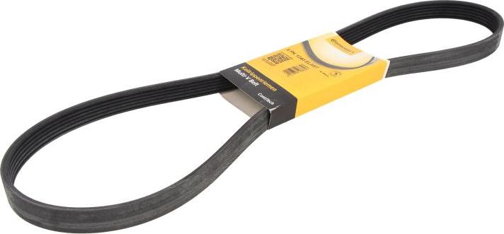 CONTINENTAL 6 PK 1240 ELAST - PASEK WIELOROWKOWY 6PK1240ELAST