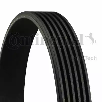 CONTINENTAL 6PK1256 - PASEK WIELOROWKOWY 6PK1256