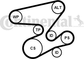 CONTINENTAL 6PK2080K1 - ZESTAW PASKA WIELOROWK. BMW E46-E60 2.0D-3.0D