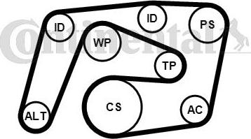 CONTINENTAL 6PK2260K1 - ZESTAW PASKA WIELOROWK. DB W203-204 W211 CDI