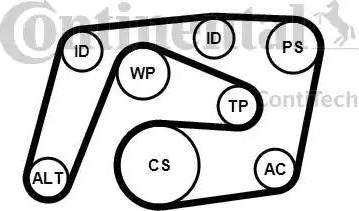 CONTINENTAL 6PK2260K1 - ZESTAW PASKA WIELOROWK. DB W203-204 W211 CDI