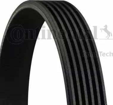 CONTINENTAL 6PK1019 ELAST - PASEK WIELOROWKOWY 6PK1019ELAST