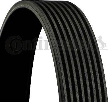 CONTINENTAL 8PK1427 — Pasek klinowy wielorowkowy