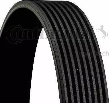 CONTINENTAL 8PK955 - PASEK WIELOROWKOWY 8PK955