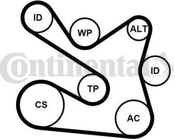 CONTINENTAL 7PK1605K1 — Zestaw paska klinowego wielorowkowego