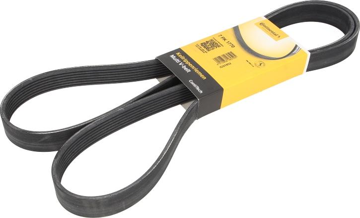CONTINENTAL 7 PK 1770 — Pasek klinowy wielorowkowy