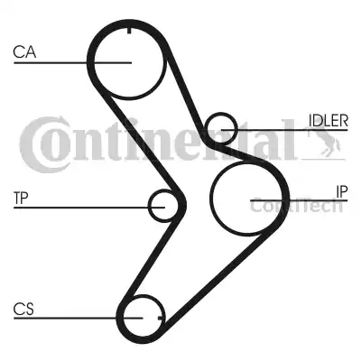 CONTINENTAL CT 731 - PASEK ROZRZĄDU FIAT 2.5D