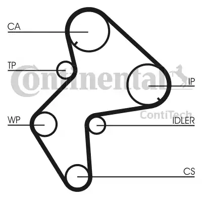 CONTINENTAL CT772 - PASEK ROZRZĄDU CITROEN 2.1TD