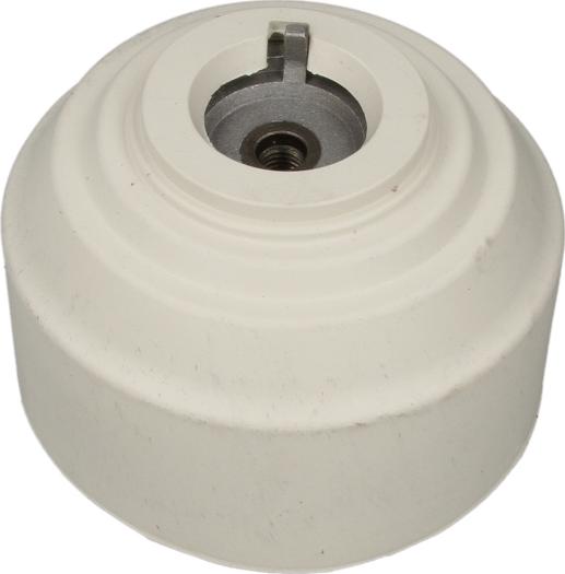 Corteco 80004616 - Poduszka silnika