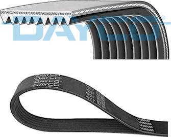 DAYCO 9PK2010HD — Pasek klinowy wielorowkowy