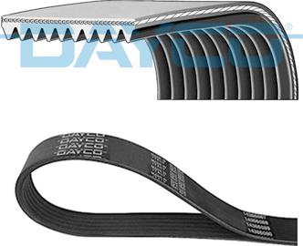 DAYCO 10PK1413HD - Pasek wielorowkowy