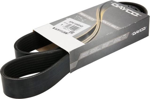 DAYCO 8PK1095HD — Pasek klinowy wielorowkowy