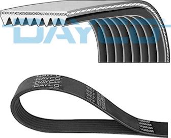DAYCO 8PK2465HD — Pasek klinowy wielorowkowy