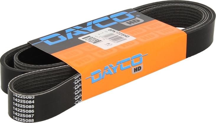 DAYCO 8PK1725HD — Pasek klinowy wielorowkowy