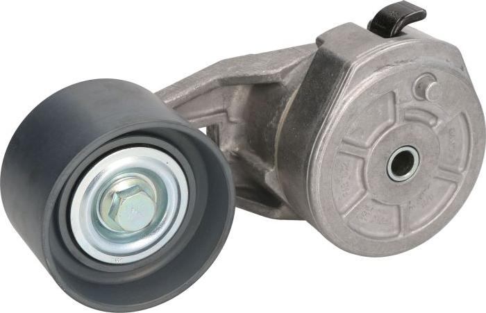 DAYCO APV1098 - Napinacz paska wielorowkowego