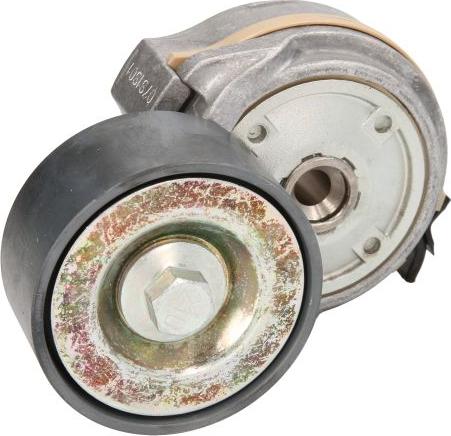 DAYCO APV1134 - Napinacz paska wielorowkowego