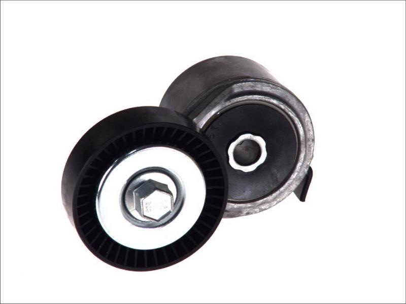 DAYCO APV2490 - Napinacz paska wielorowkowego