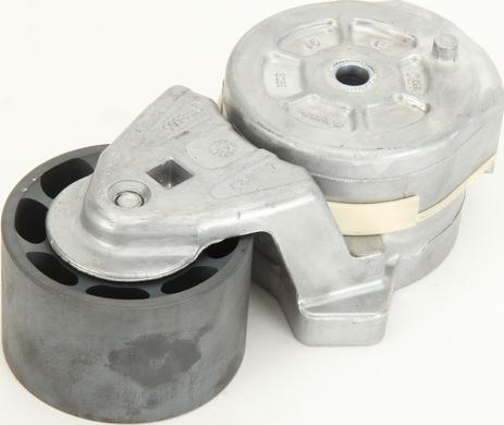 DAYCO APV2454 - Napinacz paska wielorowkowego