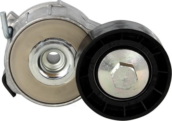 DAYCO APV2463 - Napinacz paska wielorowkowego