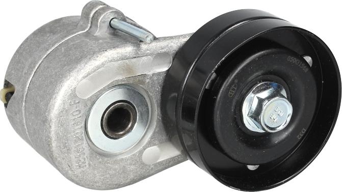 DAYCO APV2669 - Napinacz paska wielorowkowego
