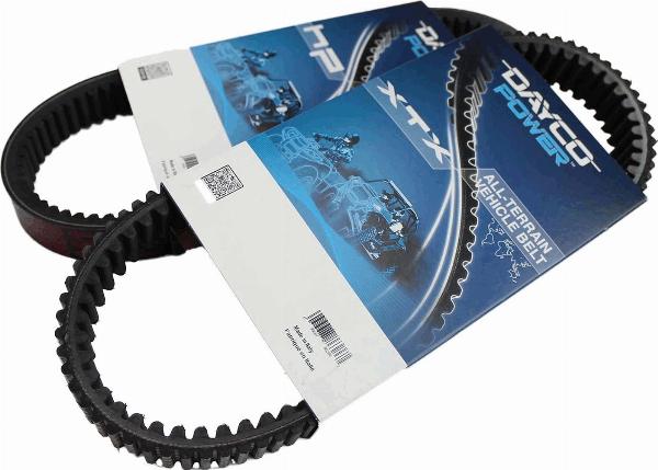DAYCO XTX2268 - Pasek