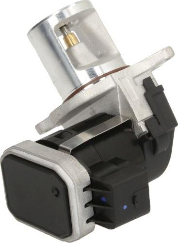 Delphi EG10485-12B1 — Zawór AGR