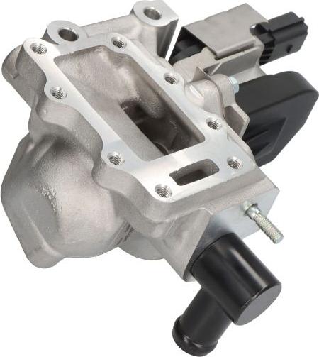 Delphi EG10579-12B1 - Zawór EGR