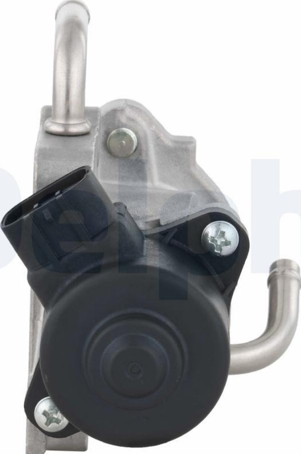 Delphi EG10758-12B1 - Zawór EGR