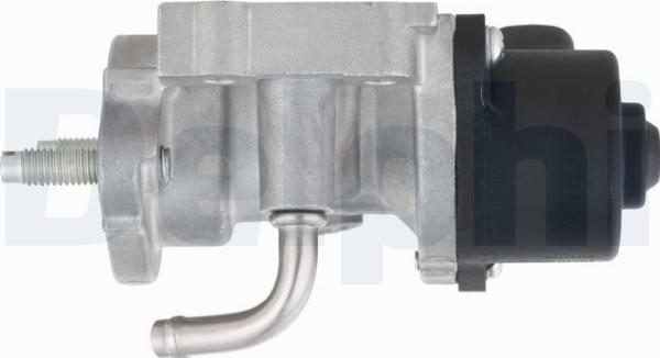Delphi EG10758-12B1 - Zawór EGR